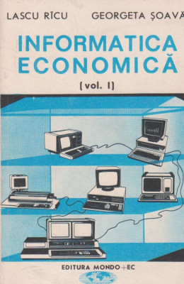 Informatica economica, Volumul I foto