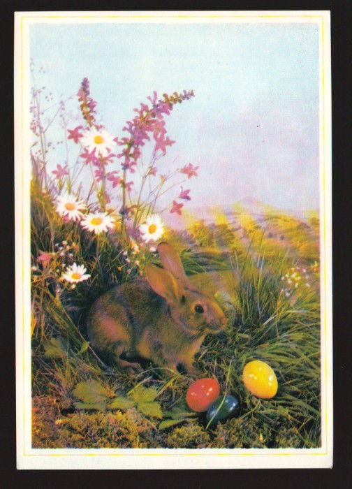 CPIB 19872 CARTE POSTALA - FELICITARE DE PASTE. IEPURAS, OUA, NECIRCULATA