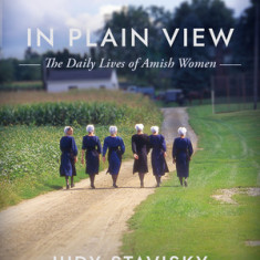 In Plain View: Amish Women at a Glance