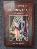 SPIRITELE ELEMENTALE ALE NATURII - Jorge Angel Livraga Lizzi