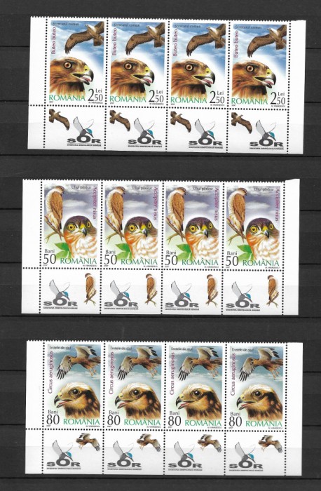 ROMANIA 2007 - PASARI DE PRADA , STRAIF CU TABSURI IDENTICE, MNH - LP 1760a