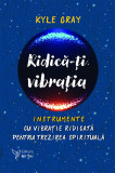 Ridică-ți vibrația. Instrumente cu vibrație ridicată pentru trezirea spirituală - Kyle Gray