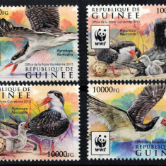 GUINEEA 2015 - Fauna WWF, pasari /serie completa MNH