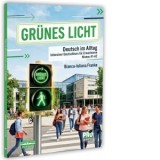 Grunes Licht. Deutsch im Alltag. Intensiver Deutschkurs fur Erwachsene. Niveau A1-A2