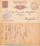 Italy 1884 Old postcard postal stationery ROMA FERROVIA - RAILWAY D.411