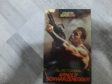 Arnold Schwarzenegger de Willard Fleming