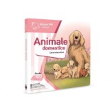 Cumpara ieftin Raspundel Istetel, Carte Animale domestice