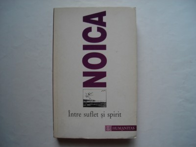 Intre suflet si spirit - Constantin Noica foto