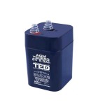 Acumulator AGM VRLA 6V 5.3Ah, 67x67x97mm, Arcuri 4R25, Ted Battery Expert, Compatibil Varta/Duracell/Panasonic
