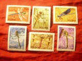 Serie Polonia 1988 - Insecte - Libelulu , 6 valori