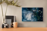 Tablou Canvas, "&Icirc;nflorirea viselor sub clar de lună", Flori, Delicate, Răsfirate, Seară, Mister, &Icirc;ntuneric, Ramuri, Bl&acirc;ndețe, Vise., 39 x 26 cm, CMCLA