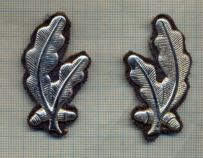 Y 1858 INSIGNA - MILITARA -PERECHE LAURI METALICI REVER -PENTRU COLECTIONARI