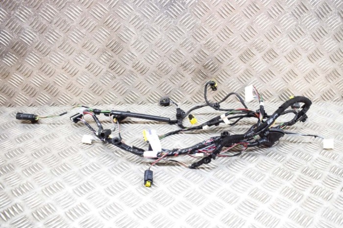 Cablaj ușă dreapta spate TESLA MODEL X 2018 OEM: 2032442-00-A 18057852