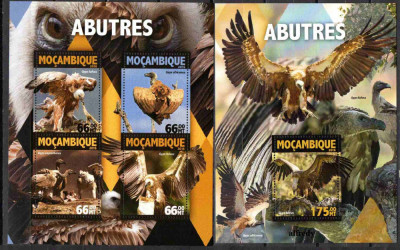 MOZAMBIC 2016, Fauna - Pasari, serie neuzată, MNH foto