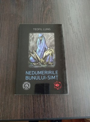 Teofil Lung - Nedumeririle bunului-simt foto