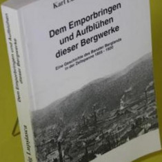 Dem Emporbringen und Aufglühen dieser Bergwerke : eine Geschichte des Banater Berglands in der Zeitspanne 1855 - 1920.
