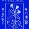 Tatting Collage