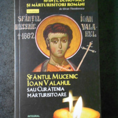 SILVAN THEODORESCU - SFANTUL MUCENIC IOAN VALAHUL volumul 6