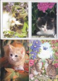 bnk cp Lot 10 felicitari nescrise - Pisici