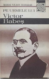 PE URMELE LUI VICTOR BABES-MIHAI NEAGU BASARAB
