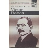 PE URMELE LUI VICTOR BABES-MIHAI NEAGU BASARAB-237070