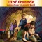 F&uuml;nf Freunde - 3 Abenteuer in einem Band