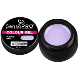 Cumpara ieftin Gel UV Colorat Purple Rain 5ml, SensoPRO Milano