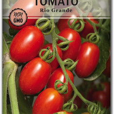 Tomate , rosii RIO GRANDE - 10 seminte pentru semanat