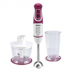 Blender Heinner CHARM HB-600BG 600W 2 viteze/turbo Visiniu foto