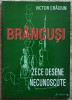Brancusi, zece desene necunoscute - Victor Craciun