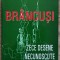 Brancusi, zece desene necunoscute - Victor Craciun