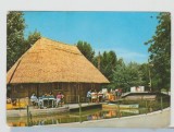 bnk cp Cabana Coliba Paulesti ( jud Satu Mare ) - Vedere - circulata - marca fixa
