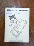 Biserica medievala din Caransebes - Petru Bona / R7P3S, Alta editura