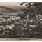 CPIB 18406 CARTE POSTALA - ZIZIN. VEDERE PANORAMICA, RPR, NECIRCULATA