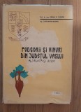 PODGORII SI VINURI DIN JUDETUL VASLUI, ALTADATA SI ACUM - AVRAM D. TUDOSIE, 1974, Alta editura