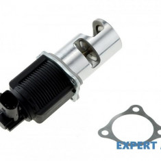 Supapa egr Nissan Micra 3 (2003-2010)[K12] #1