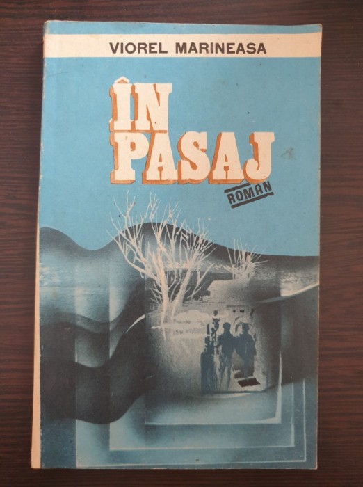 IN PASAJ - Viorel Marineasa