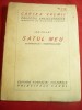 Ion Pillat - Satul meu -Ed.1923 Fundatia Carol,gravuri I.Teodorescu-Sion,112pag