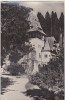 Bnk cp Sinaia - Pelisorul - uzata, Circulata, Printata