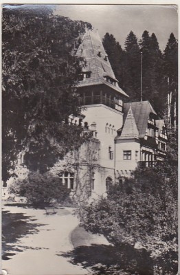 bnk cp Sinaia - Pelisorul - uzata foto