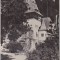 bnk cp Sinaia - Pelisorul - uzata