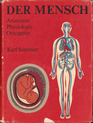 HST C6240 Der Mensch Anatomie Physiologie Ontogenie 1981 Karl Sommer foto
