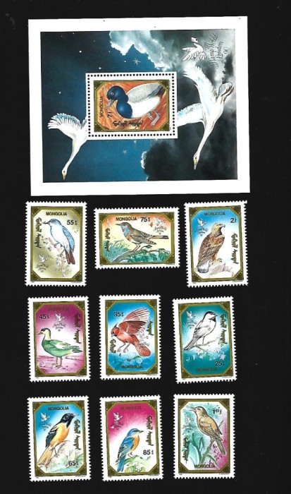 mongolia pasari mnh