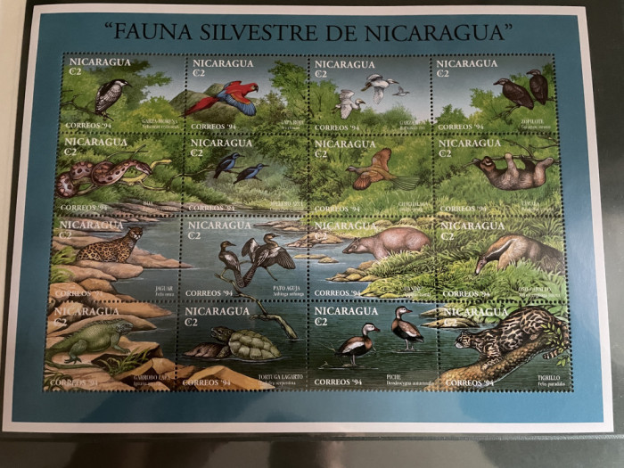 Nicaragua - Serie timbre pasari, fauna nestampilate MNH