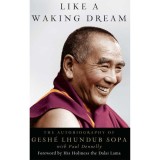 Cumpara ieftin Like a Waking Dream carte budism vis realitate intelepciune spirituala Geshe Lhundup Sopa