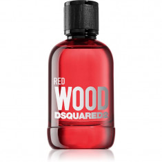 Dsquared2 Red Wood Eau de Toilette pentru femei 100 ml