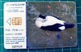 Cartela telefonică Romtelecom Păsări acvatice Mascul Rață Eider10 lei 100.000 unități 68PMVM exp. 01.03.2009 Lebădă