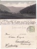 Anina- Vedere-clasica, Circulata, Printata