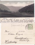 Anina- Vedere-clasica, Circulata, Printata
