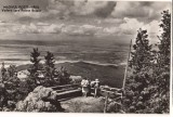 CPIB 22695 - CARTE POSTALA - MASIVUL POSTAVARUL VEDERE SPRE POIANA BRASOV, RPR